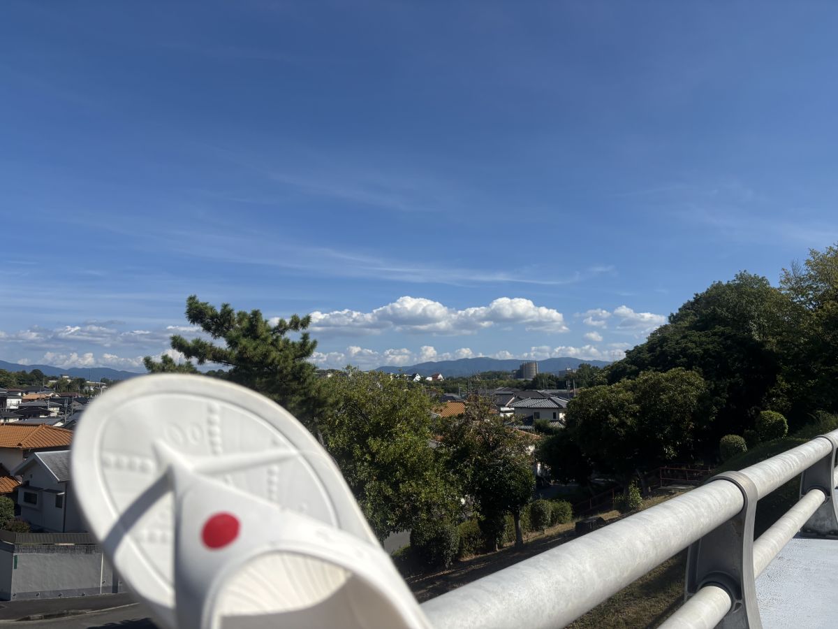 走行画像