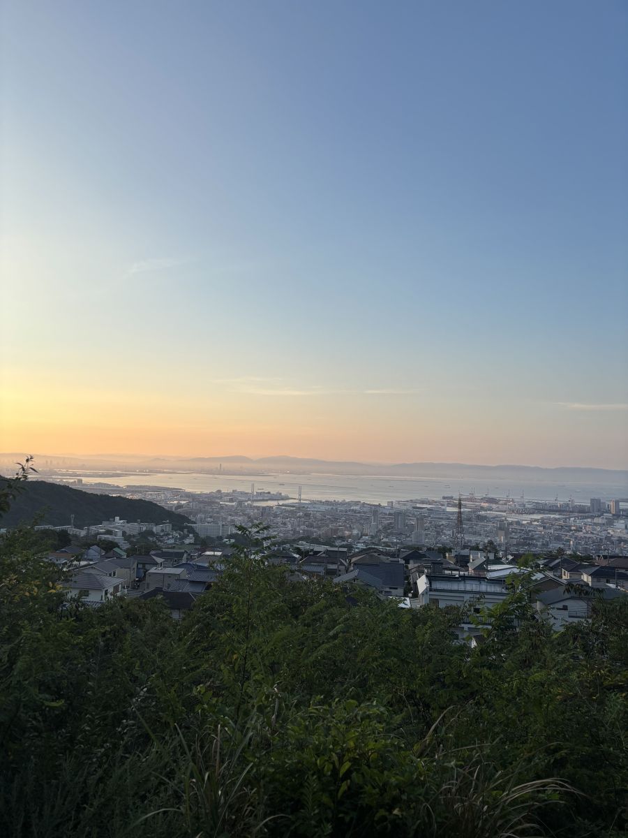 走行画像