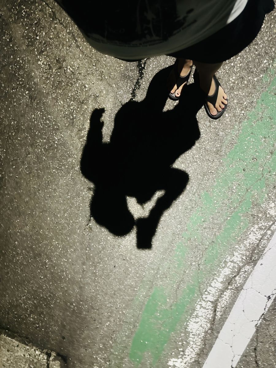 走行画像