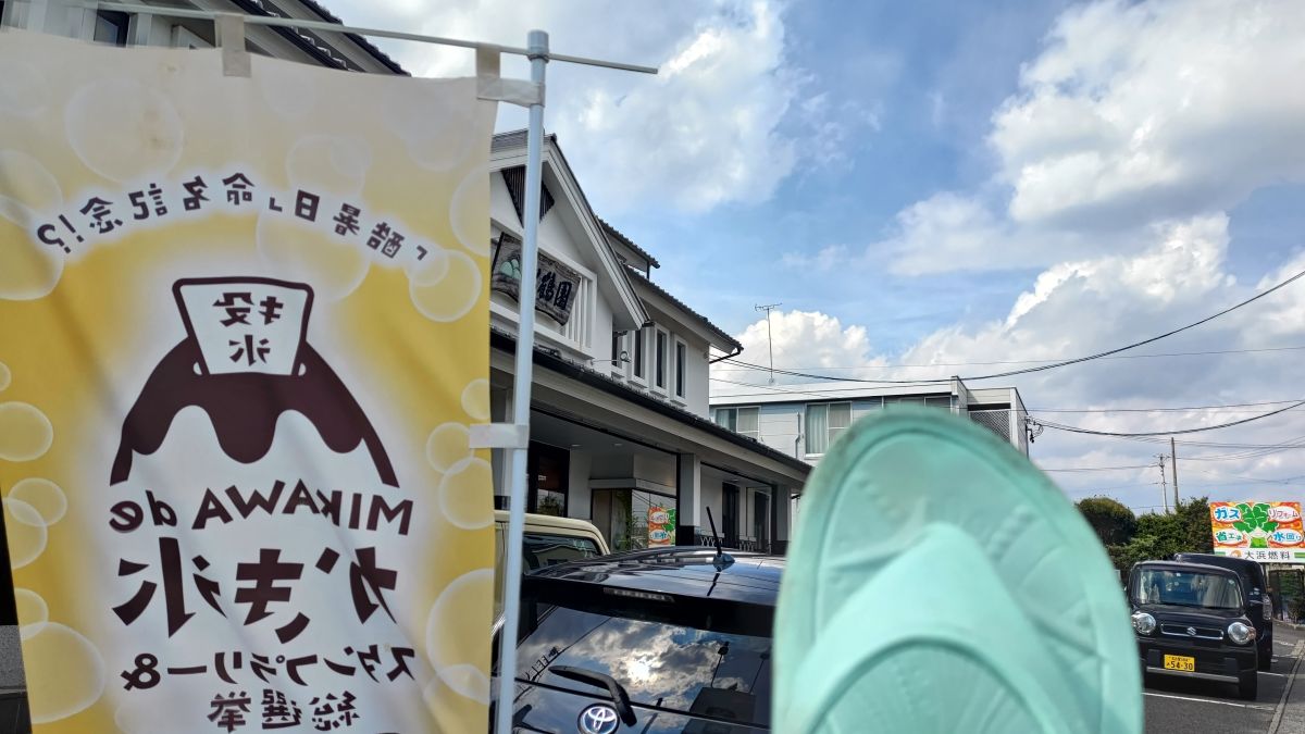 走行画像