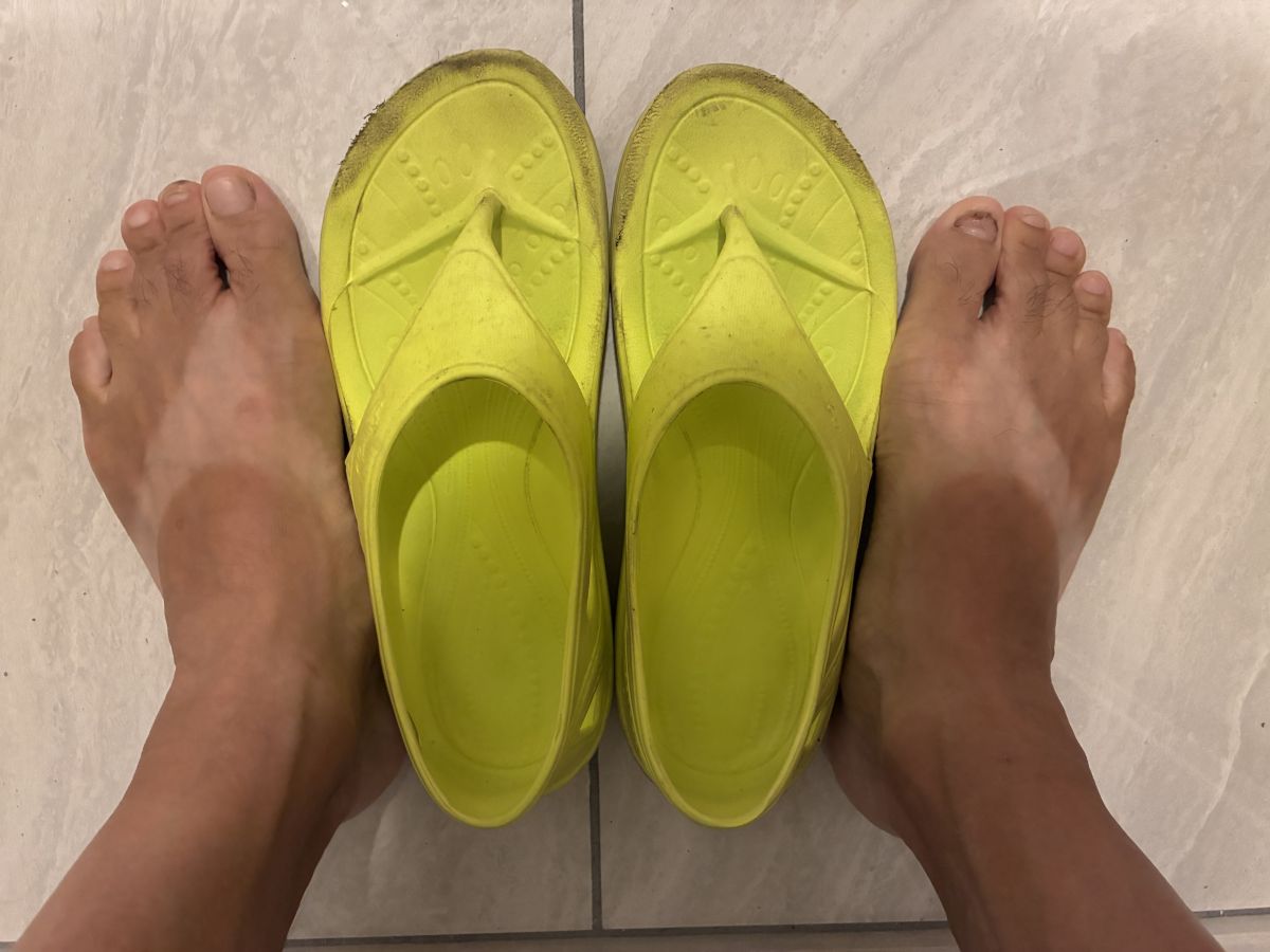 走行画像