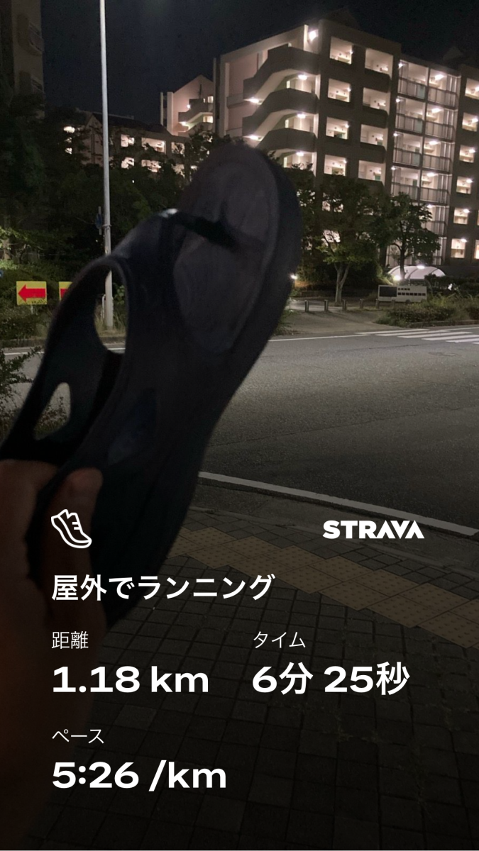 走行画像