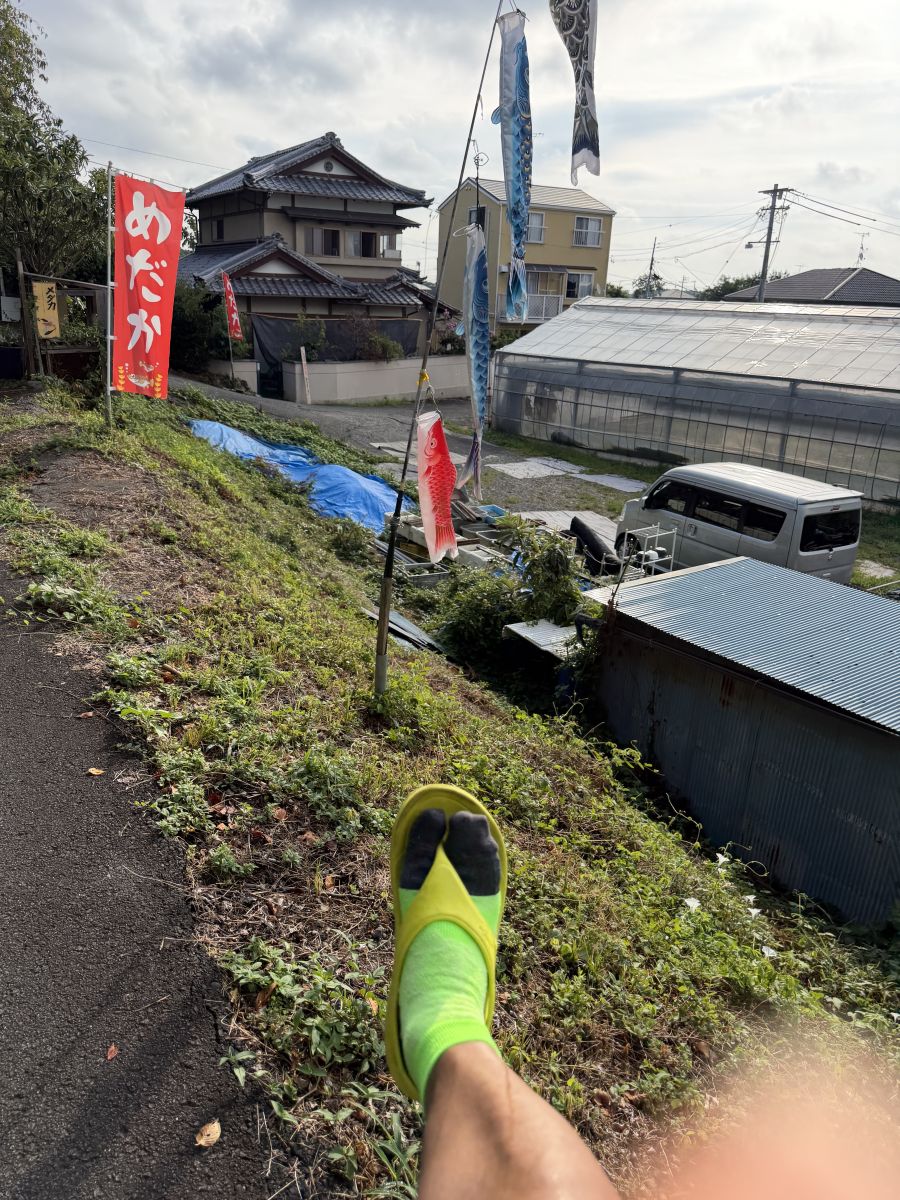 走行画像