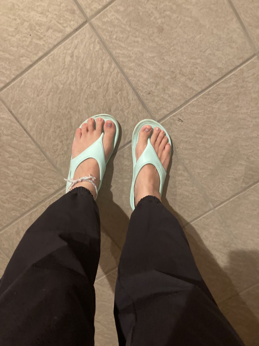 走行画像