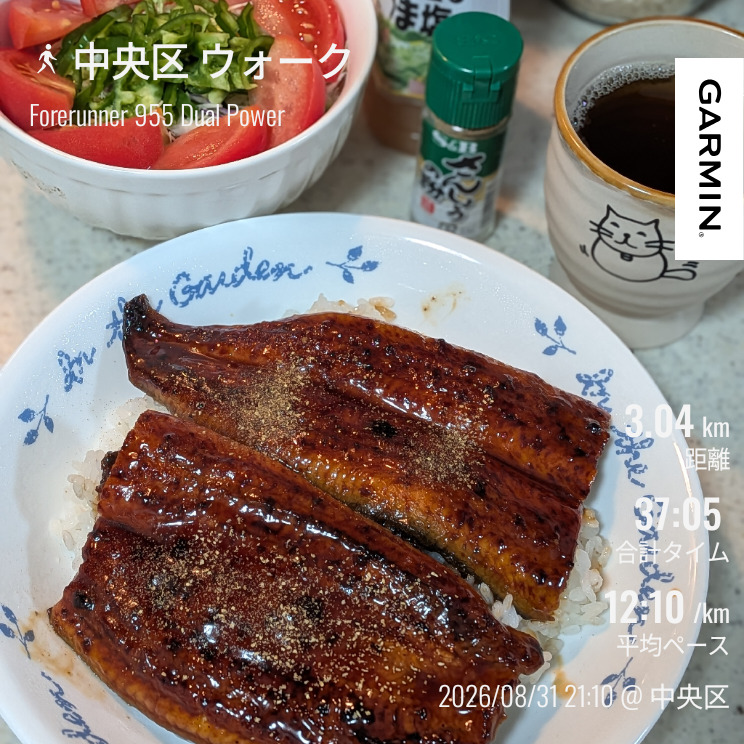 走行画像