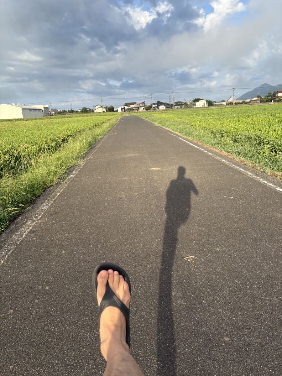 走行画像