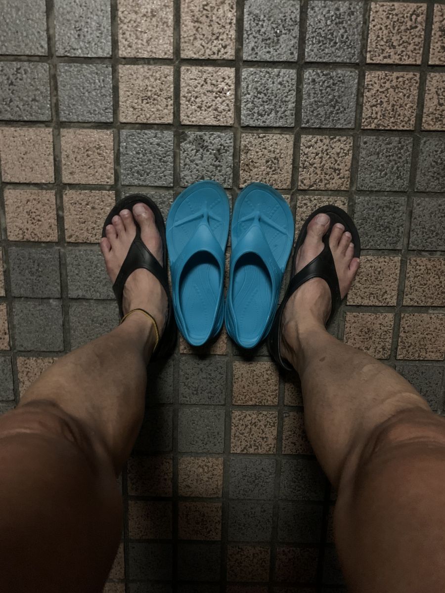走行画像