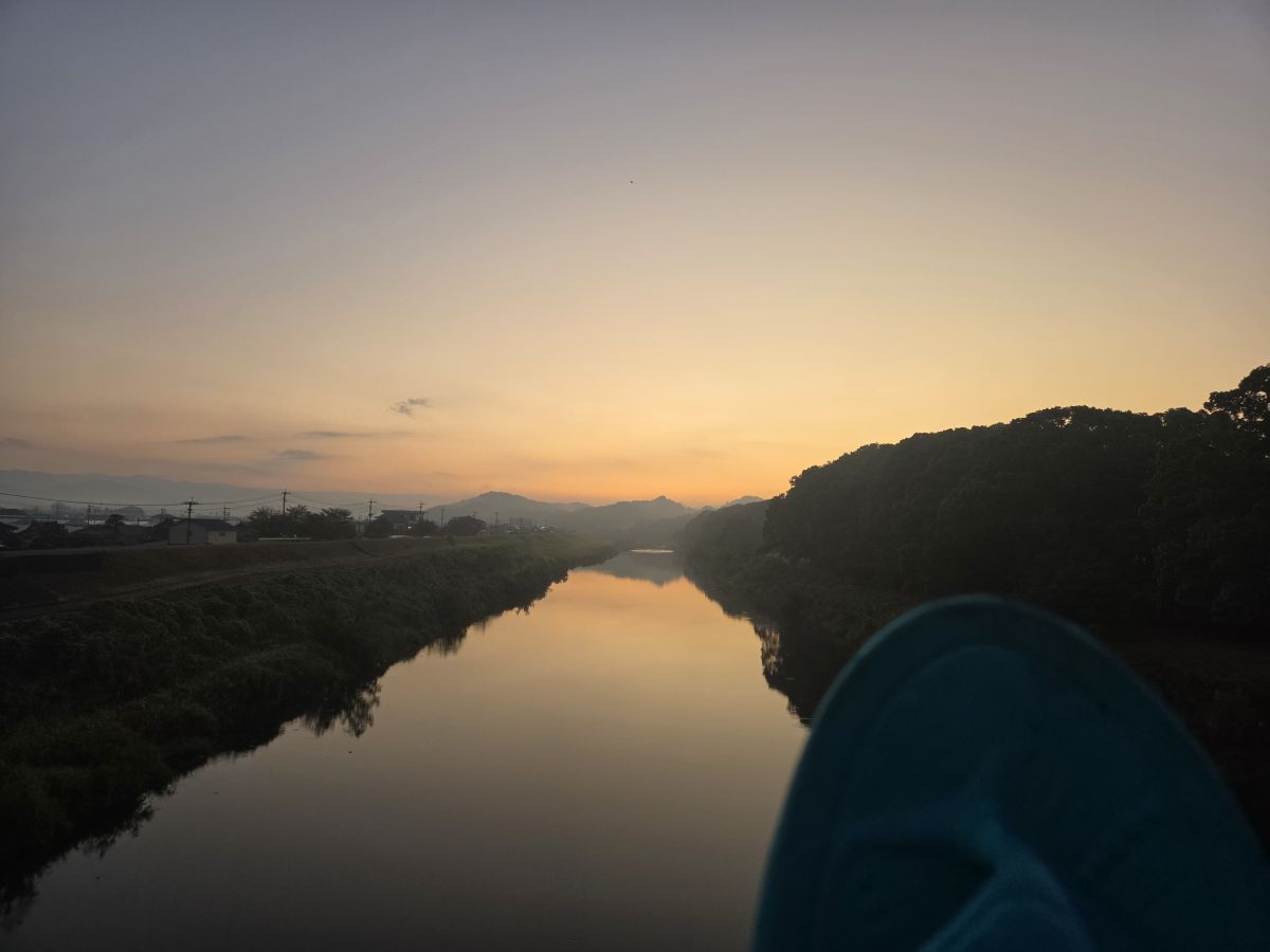走行画像