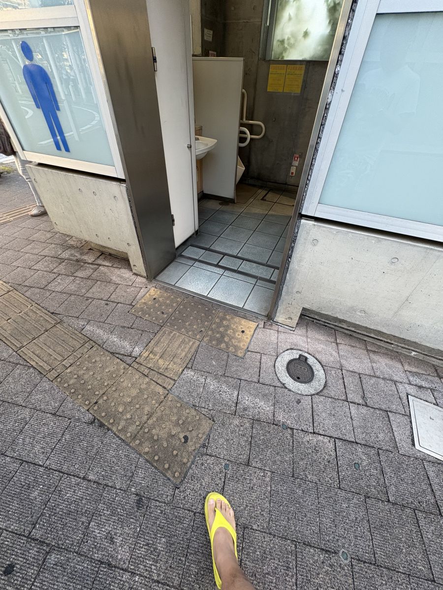 走行画像
