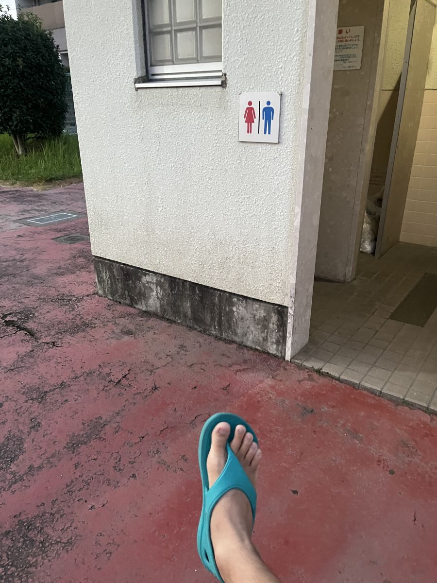 走行画像