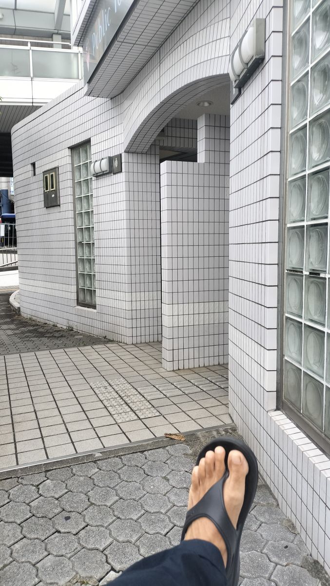 走行画像