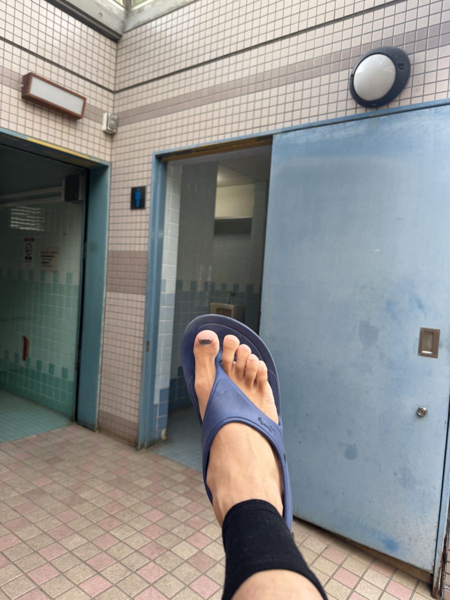 走行画像