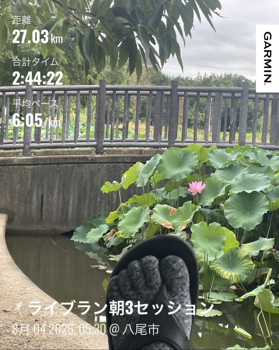 走行画像
